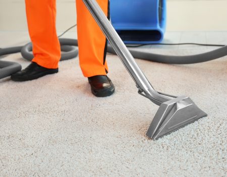 Dry cleaner's employee removing dirt from carpet in flat